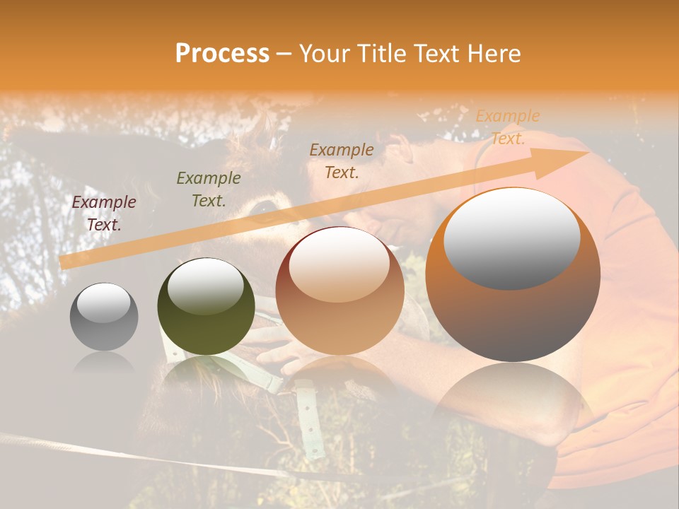 Nature Ass Still PowerPoint Template