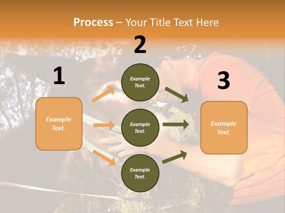 Nature Ass Still PowerPoint Template