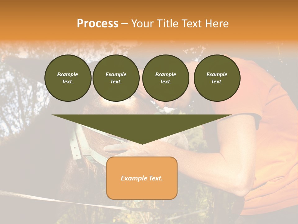 Nature Ass Still PowerPoint Template