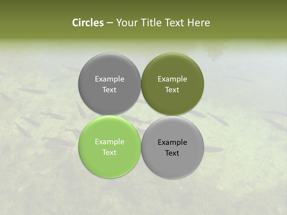 Home Bathroom Bath PowerPoint Template