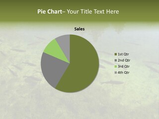 Home Bathroom Bath PowerPoint Template