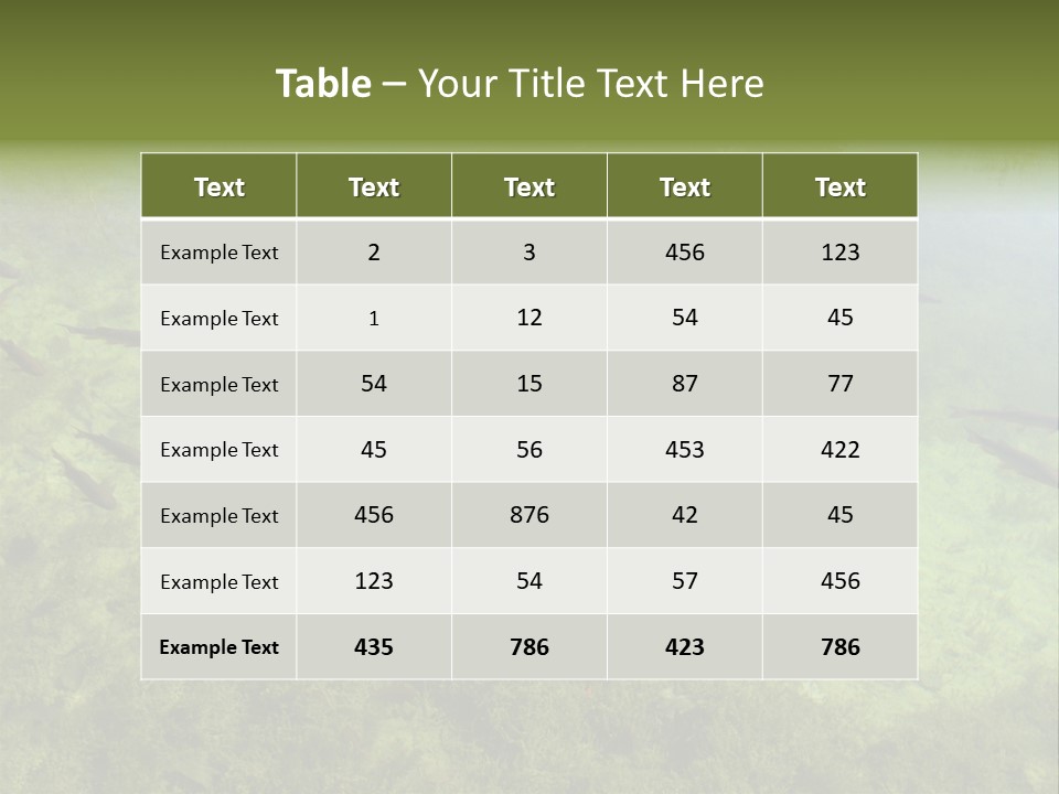 Home Bathroom Bath PowerPoint Template