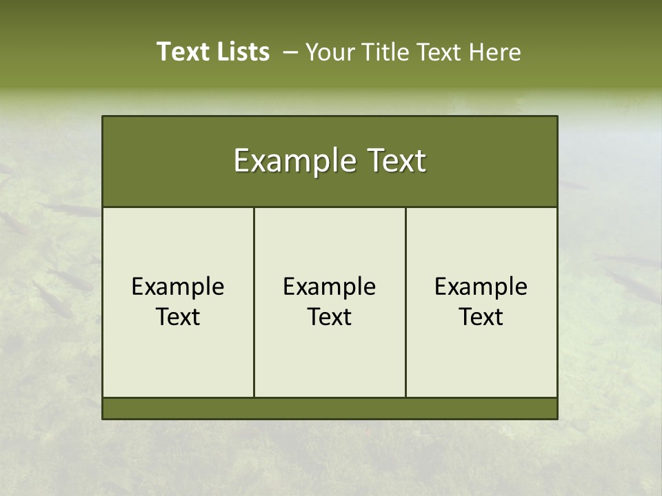 Home Bathroom Bath PowerPoint Template