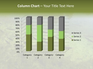 Home Bathroom Bath PowerPoint Template