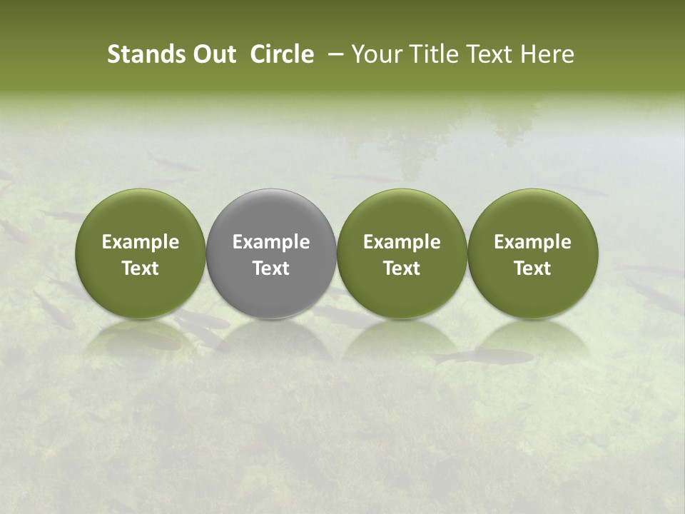 Home Bathroom Bath PowerPoint Template