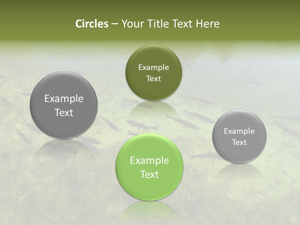 Home Bathroom Bath PowerPoint Template