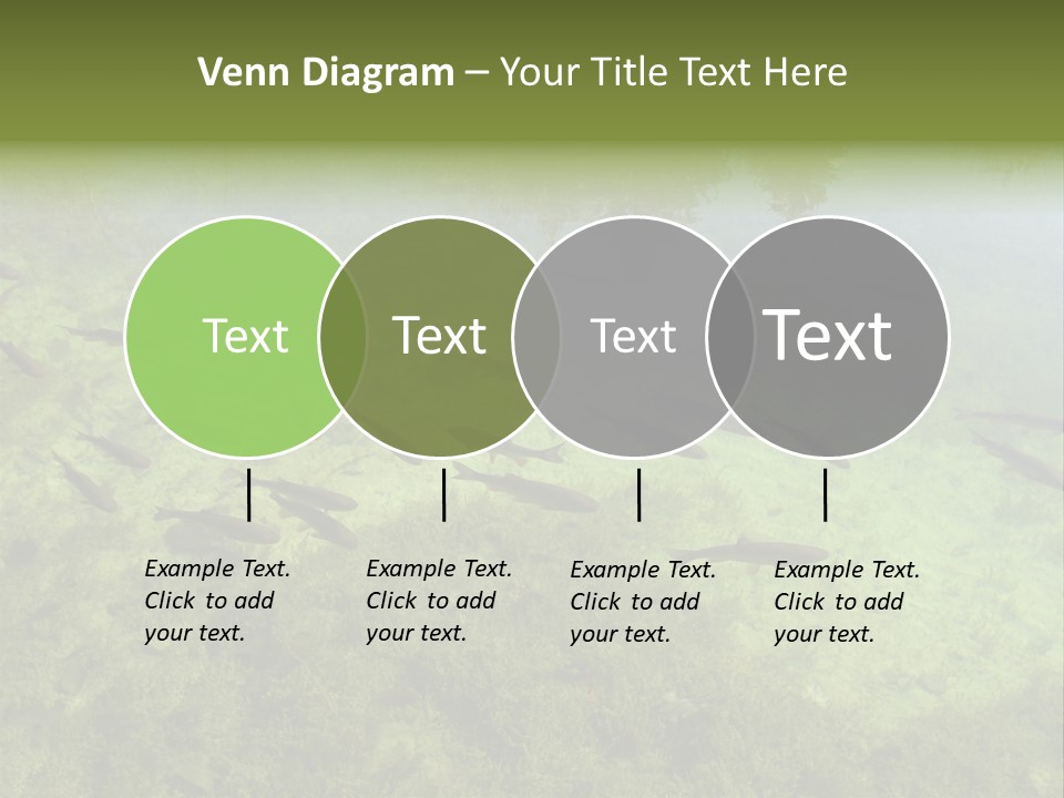 Home Bathroom Bath PowerPoint Template
