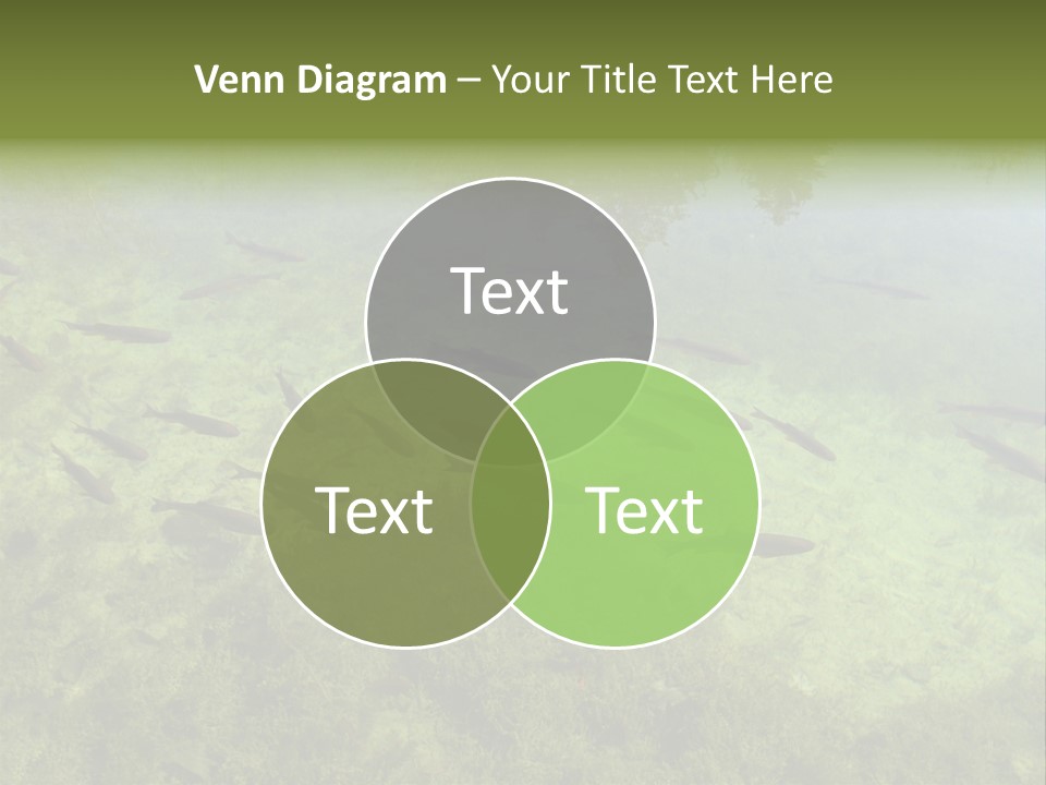 Home Bathroom Bath PowerPoint Template