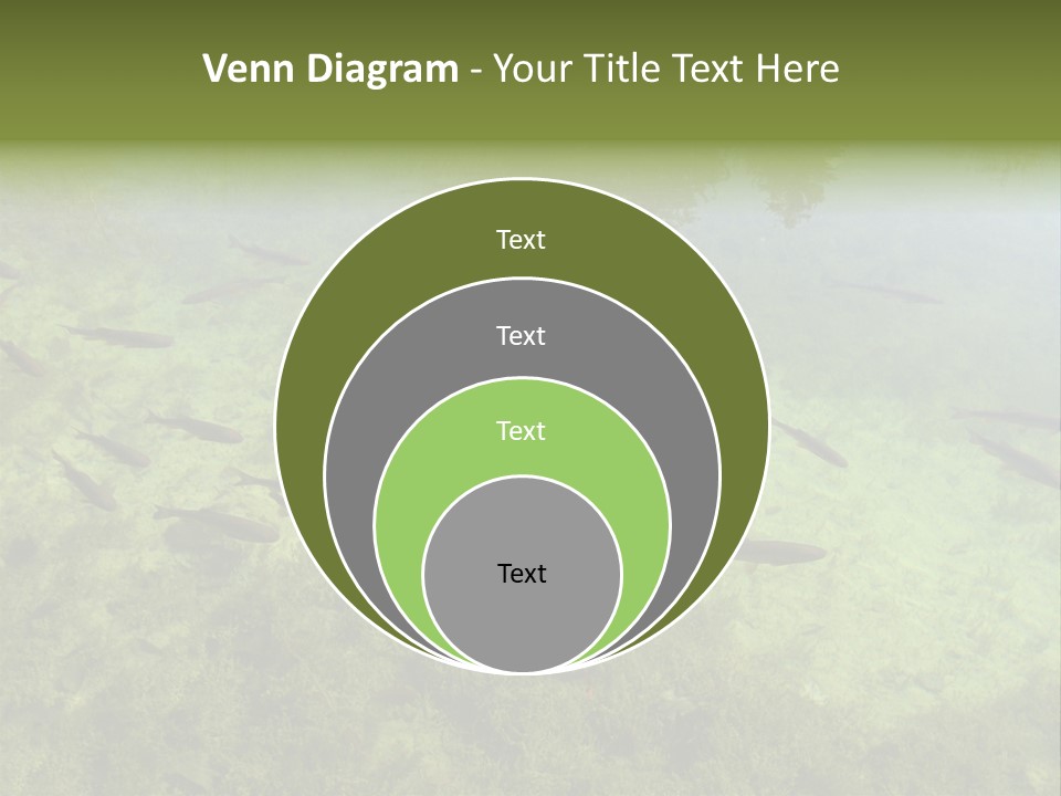 Home Bathroom Bath PowerPoint Template