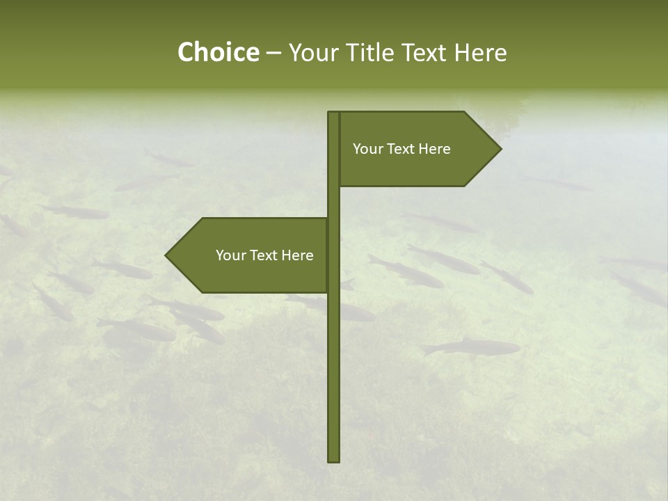 Home Bathroom Bath PowerPoint Template