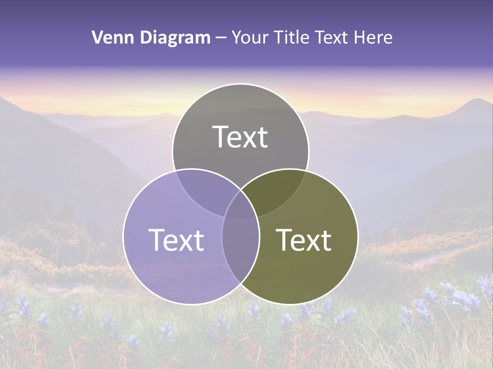 A Beautiful Sunset Over A Mountain Range With Wildflowers PowerPoint Template
