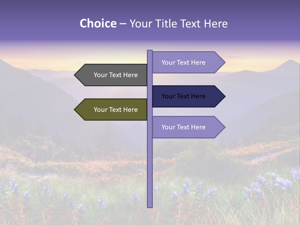 A Beautiful Sunset Over A Mountain Range With Wildflowers PowerPoint Template