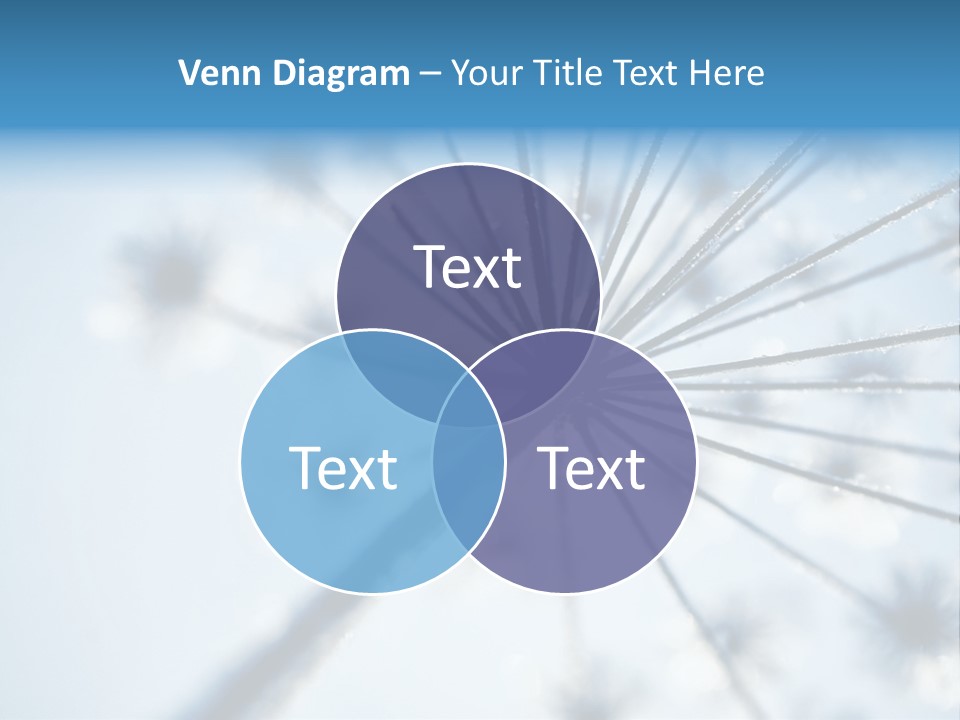Frosty Natural Frost PowerPoint Template
