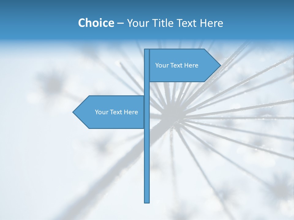 Frosty Natural Frost PowerPoint Template
