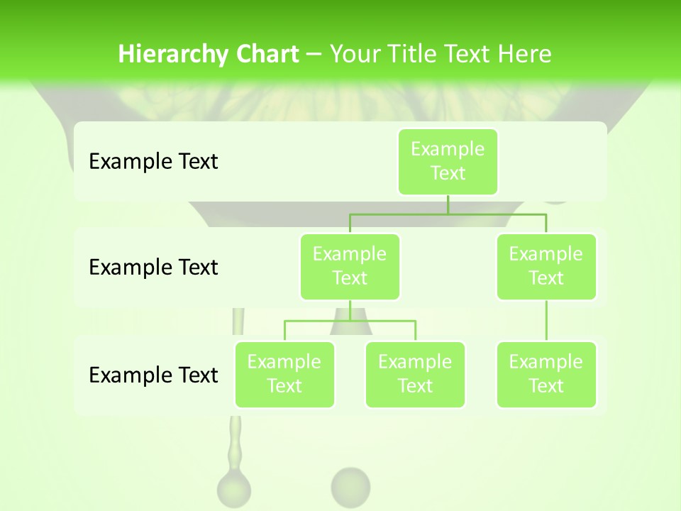 A Slice Of Lime With Drops Of Water On A Green Background PowerPoint Template