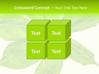 Artistic Realistic Crystal PowerPoint Template