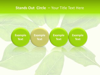 Artistic Realistic Crystal PowerPoint Template
