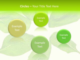 Artistic Realistic Crystal PowerPoint Template