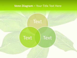 Artistic Realistic Crystal PowerPoint Template