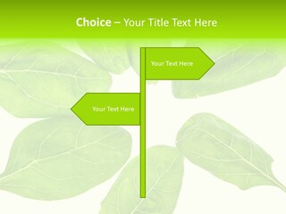 Artistic Realistic Crystal PowerPoint Template