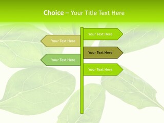 Artistic Realistic Crystal PowerPoint Template