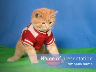 Football Humorous Mammal PowerPoint Template