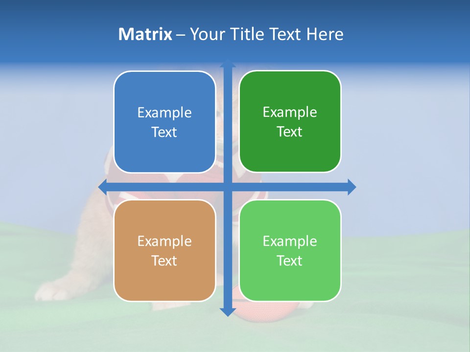 Football Humorous Mammal PowerPoint Template