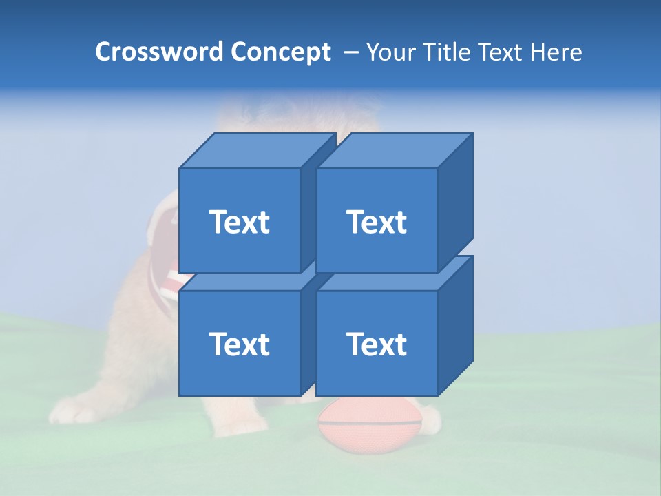 Football Humorous Mammal PowerPoint Template