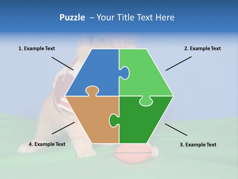 Football Humorous Mammal PowerPoint Template