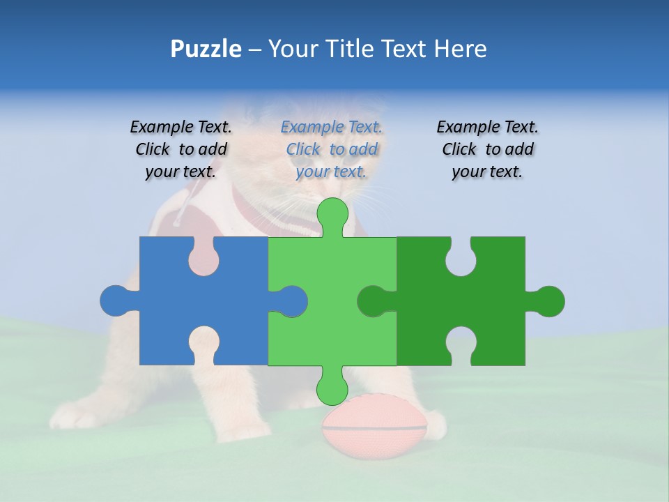 Football Humorous Mammal PowerPoint Template