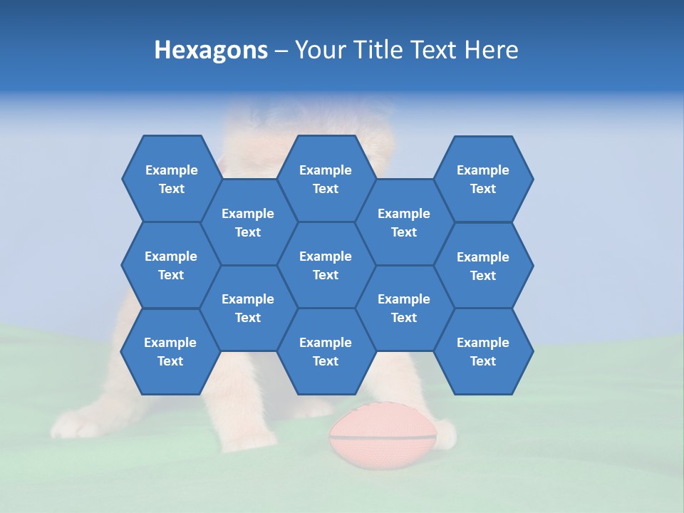 Football Humorous Mammal PowerPoint Template