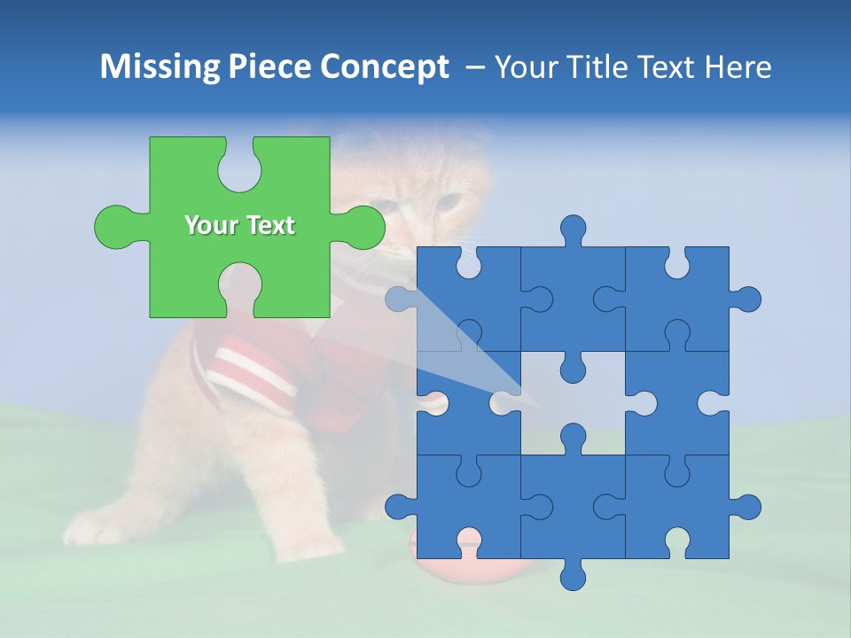 Football Humorous Mammal PowerPoint Template