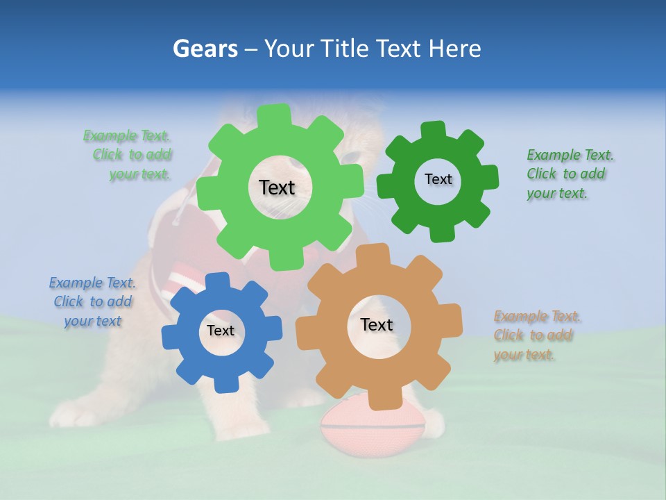 Football Humorous Mammal PowerPoint Template