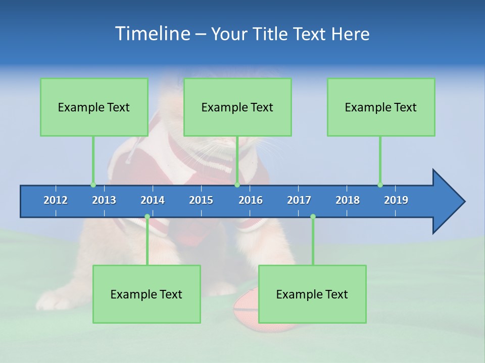 Football Humorous Mammal PowerPoint Template