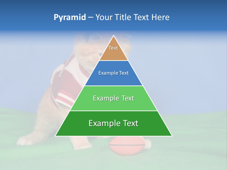 Football Humorous Mammal PowerPoint Template