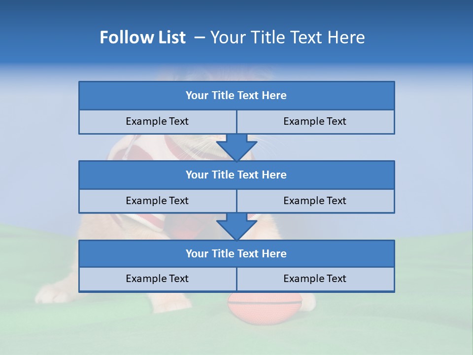 Football Humorous Mammal PowerPoint Template
