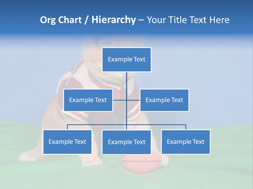 Football Humorous Mammal PowerPoint Template