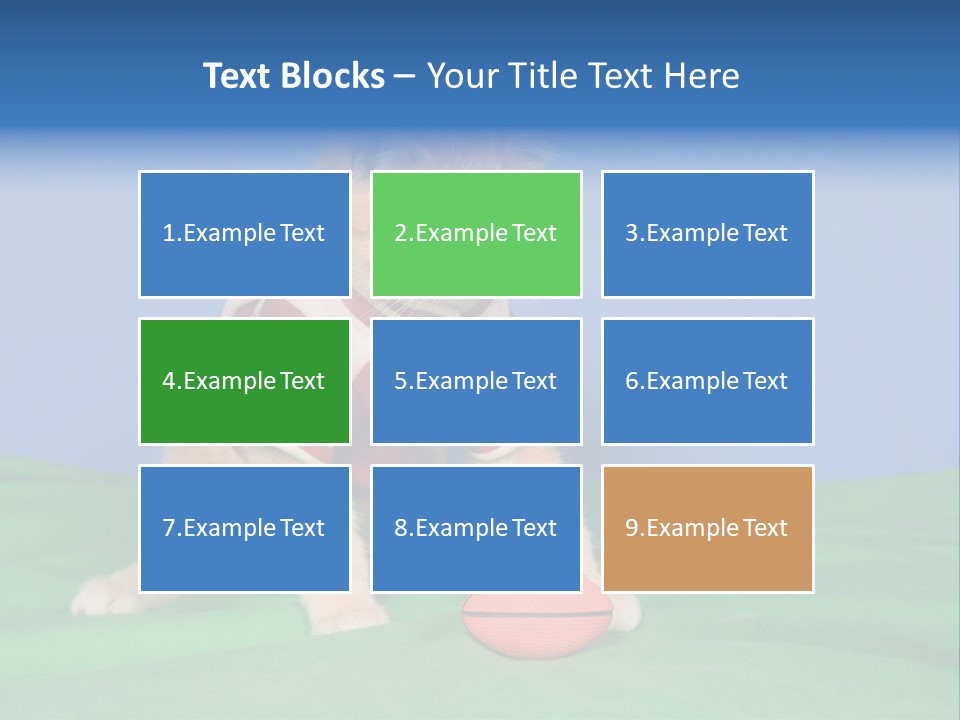 Football Humorous Mammal PowerPoint Template