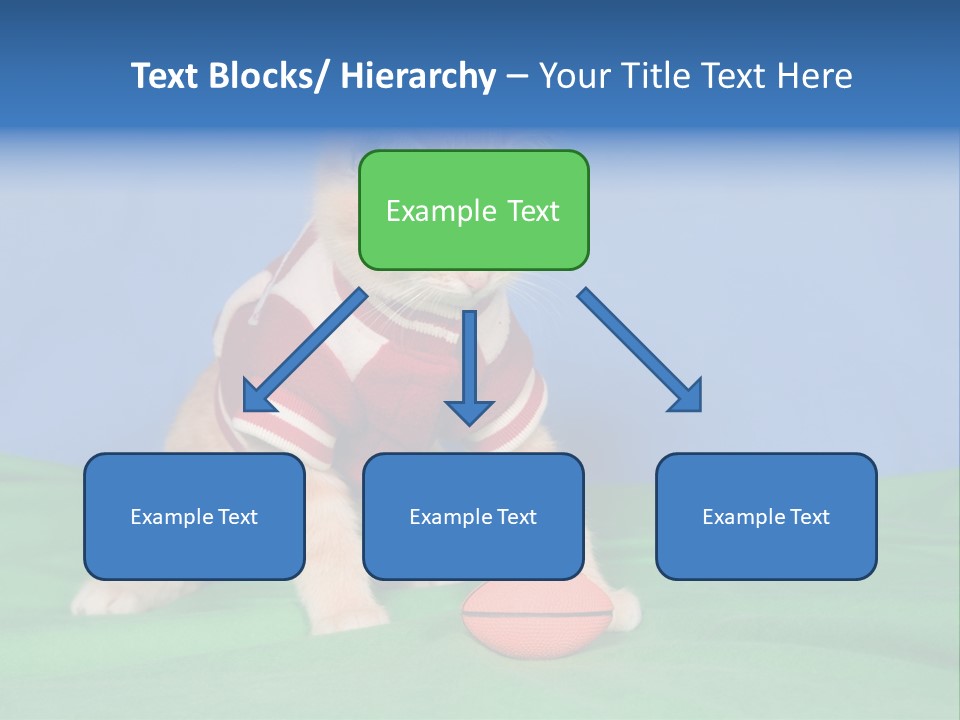 Football Humorous Mammal PowerPoint Template