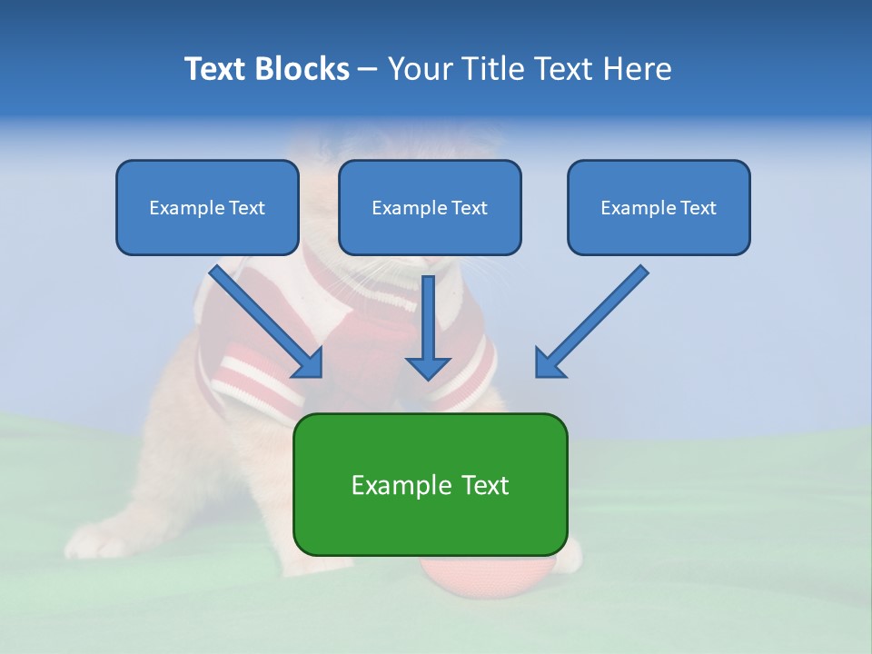 Football Humorous Mammal PowerPoint Template