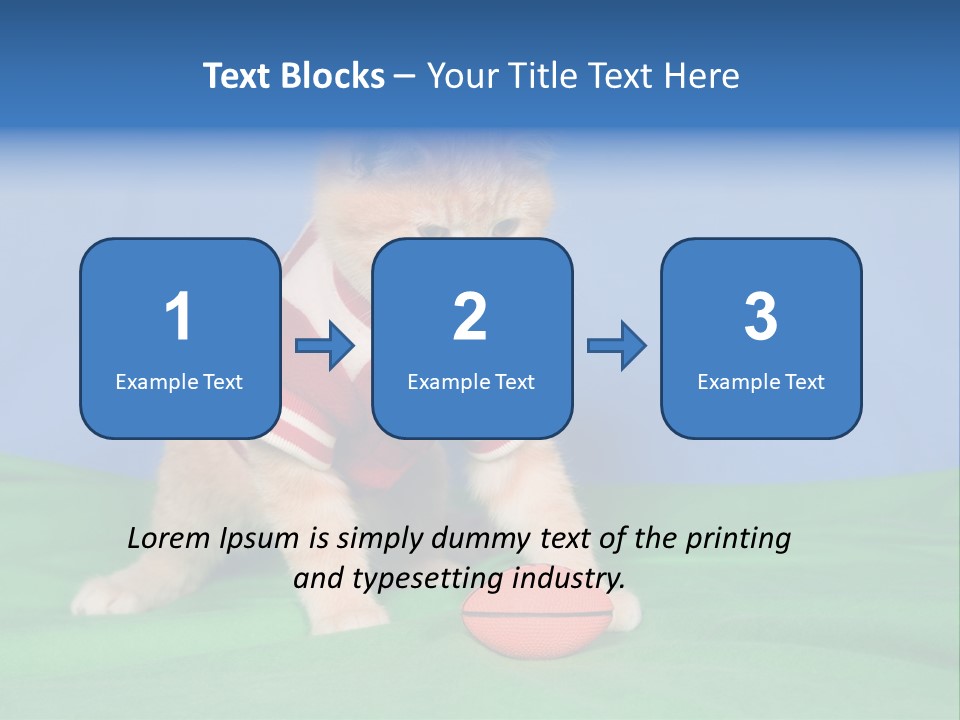 Football Humorous Mammal PowerPoint Template