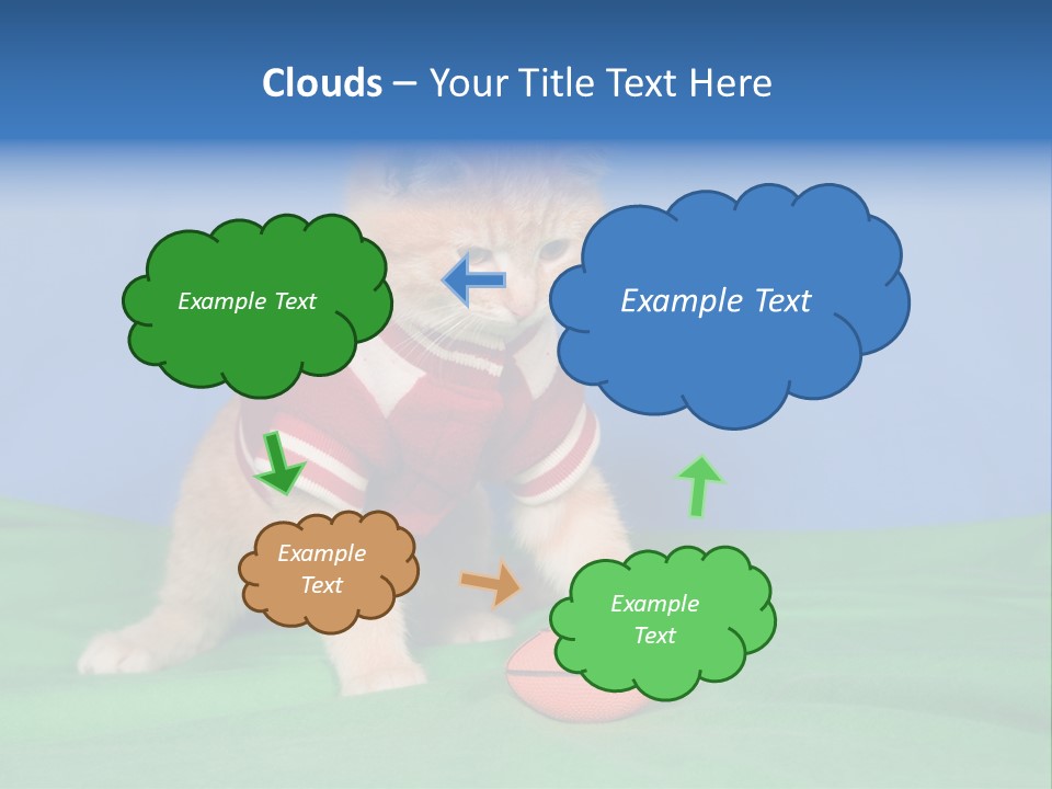 Football Humorous Mammal PowerPoint Template