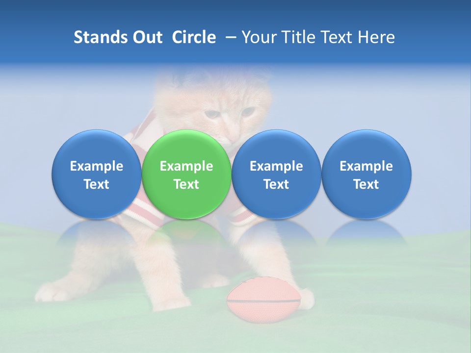 Football Humorous Mammal PowerPoint Template