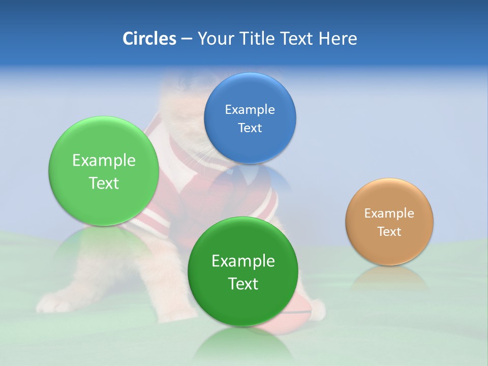 Football Humorous Mammal PowerPoint Template