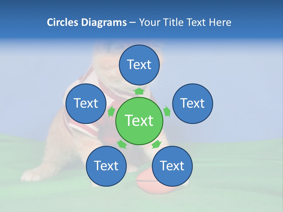 Football Humorous Mammal PowerPoint Template