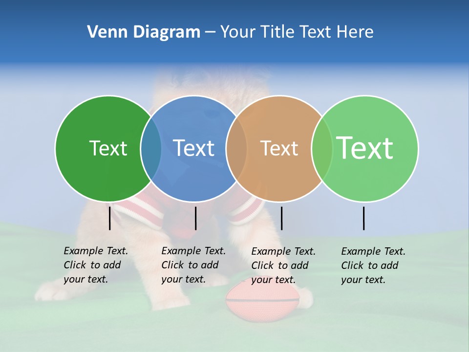 Football Humorous Mammal PowerPoint Template