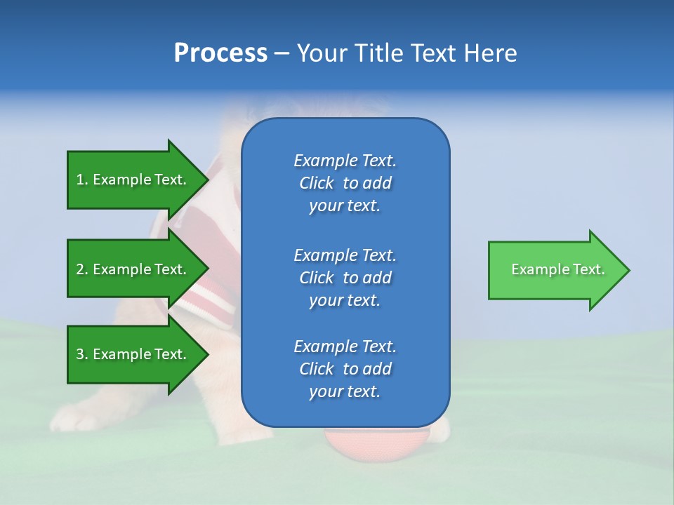 Football Humorous Mammal PowerPoint Template