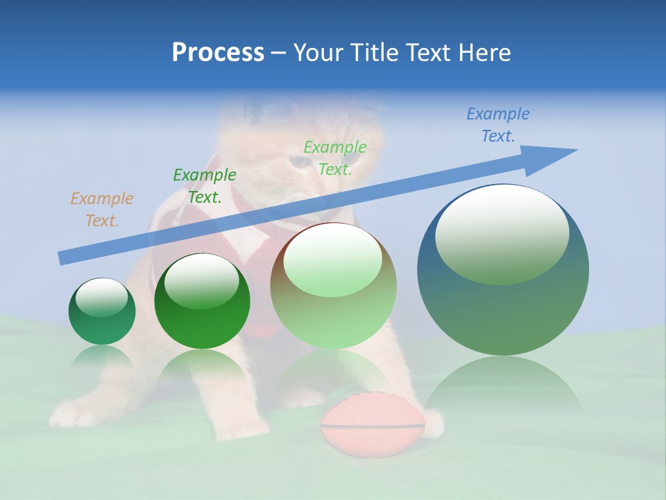 Football Humorous Mammal PowerPoint Template