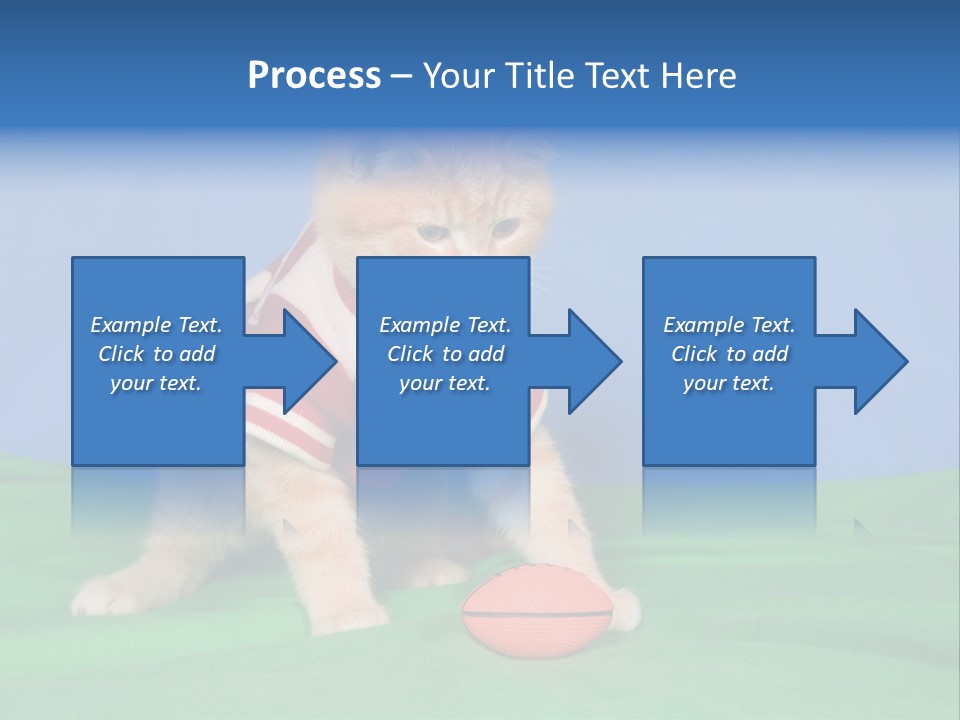 Football Humorous Mammal PowerPoint Template