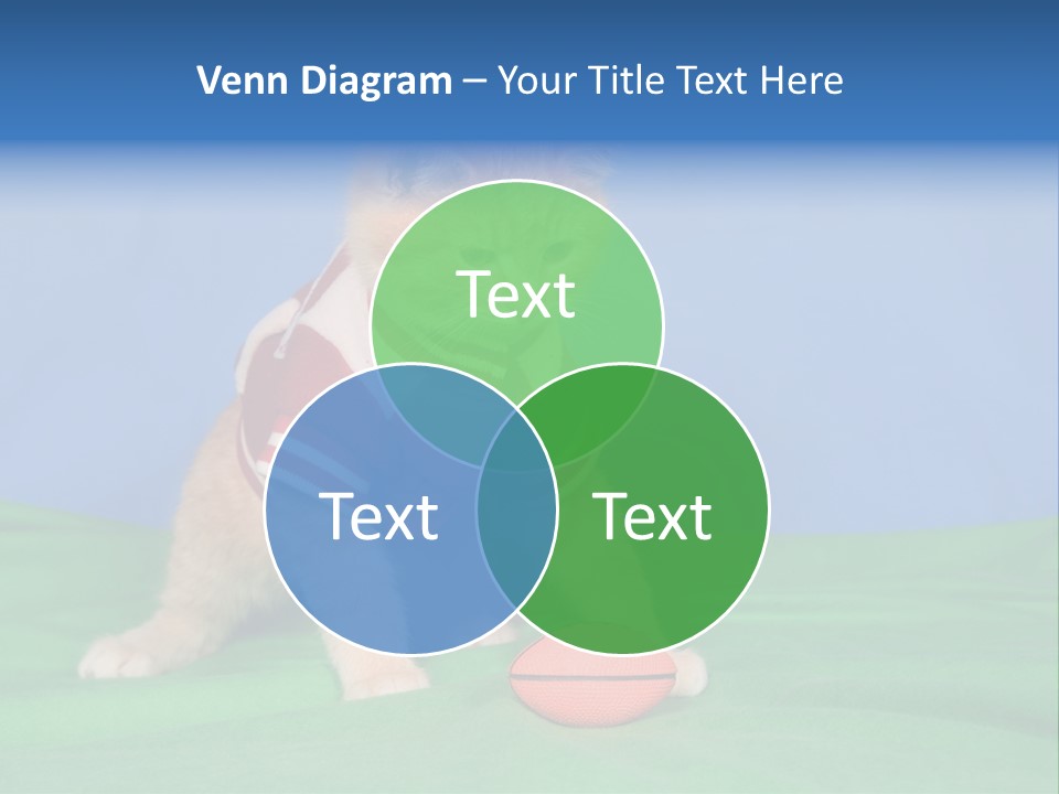Football Humorous Mammal PowerPoint Template